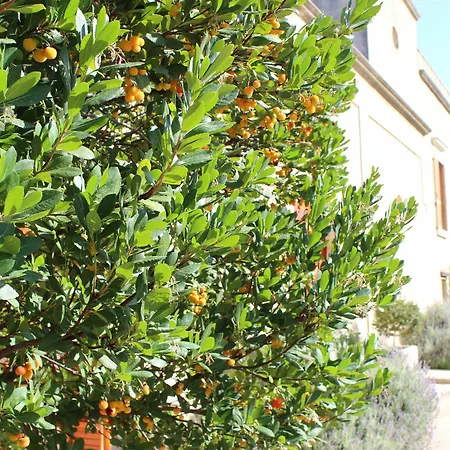 Alloggio per agriturismo Masseria Pagani Nardò