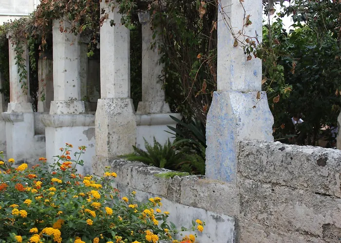 Farm stay Masseria Pagani *