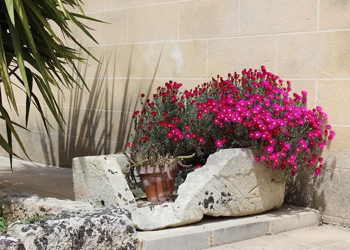 Farm stay Masseria Pagani Nardo