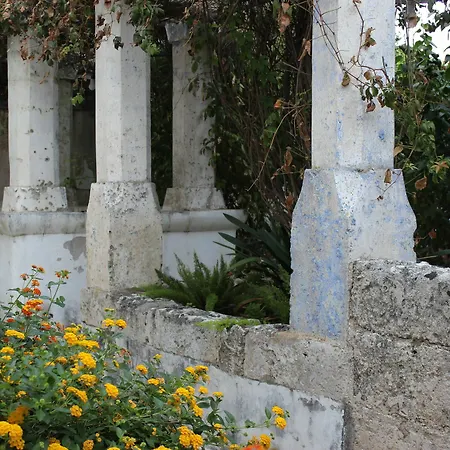 Farm stay Masseria Pagani *