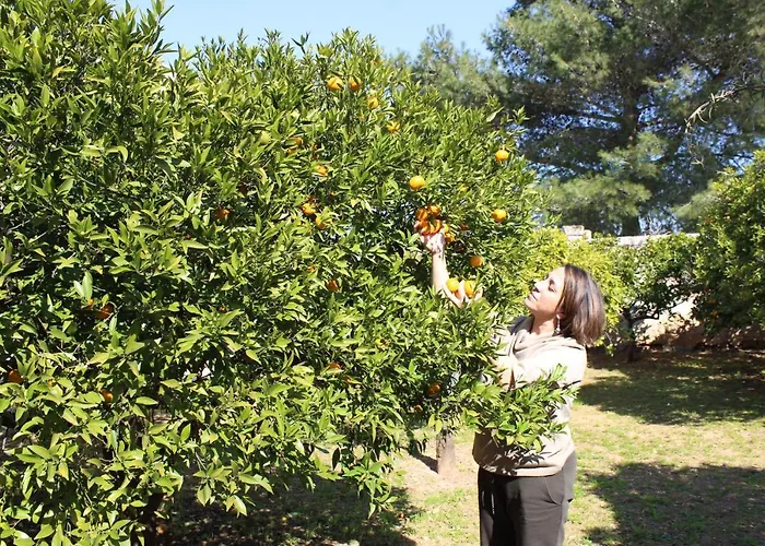 Masseria Pagani Agroturismo Nardò